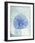 Sand Dollar B-GI ArtLab-Framed Giclee Print