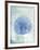 Sand Dollar B-GI ArtLab-Framed Giclee Print