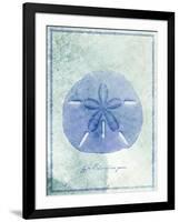 Sand Dollar B-GI ArtLab-Framed Giclee Print