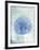 Sand Dollar B-GI ArtLab-Framed Giclee Print