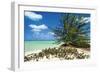 Sand Dollar Beach-Larry Malvin-Framed Photographic Print