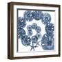 Sand Dollar Blues-Albert Koetsier-Framed Art Print