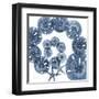 Sand Dollar Blues-Albert Koetsier-Framed Art Print