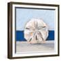 Sand Dollar By the Sea-Ethan Harper-Framed Art Print