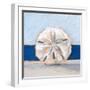 Sand Dollar By the Sea-Ethan Harper-Framed Art Print