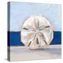 Sand Dollar By the Sea-Ethan Harper-Stretched Canvas