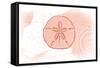 Sand Dollar - Coral - Coastal Icon-Lantern Press-Framed Stretched Canvas