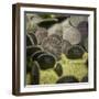 Sand Dollar, Dendraster Excentricus-Richard T. Nowitz-Framed Premium Photographic Print