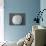 Sand Dollar I-Jairo Rodriguez-Photographic Print displayed on a wall