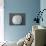 Sand Dollar I-Jairo Rodriguez-Mounted Photographic Print displayed on a wall