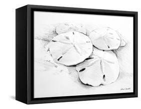 Sand Dollar I-Lanie Loreth-Framed Stretched Canvas