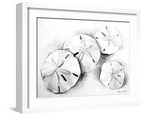 Sand Dollar II-Lanie Loreth-Framed Art Print