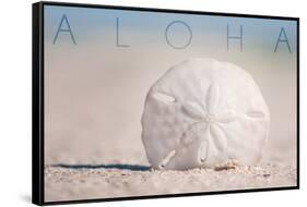 Sand Dollar on Beach - Aloha-Lantern Press-Framed Stretched Canvas