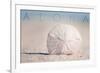 Sand Dollar on Beach - Aloha-Lantern Press-Framed Premium Giclee Print