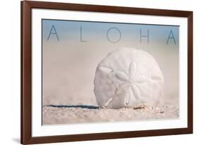 Sand Dollar on Beach - Aloha-Lantern Press-Framed Premium Giclee Print