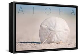 Sand Dollar on Beach - Aloha-Lantern Press-Framed Stretched Canvas