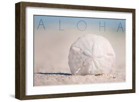 Sand Dollar on Beach - Aloha-Lantern Press-Framed Art Print