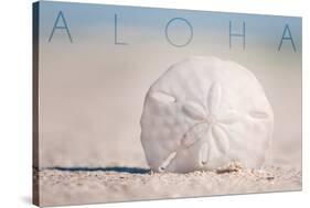 Sand Dollar on Beach - Aloha-Lantern Press-Stretched Canvas