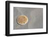 Sand Dollar-DLILLC-Framed Photographic Print