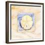 Sand dollar-Paul Brent-Framed Premium Giclee Print