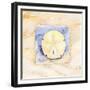 Sand dollar-Paul Brent-Framed Premium Giclee Print