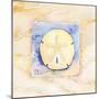 Sand dollar-Paul Brent-Mounted Premium Giclee Print