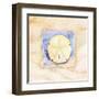Sand dollar-Paul Brent-Framed Art Print