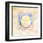 Sand dollar-Paul Brent-Framed Art Print