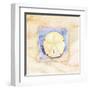 Sand dollar-Paul Brent-Framed Art Print