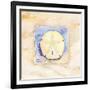 Sand dollar-Paul Brent-Framed Art Print