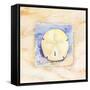 Sand dollar-Paul Brent-Framed Stretched Canvas