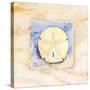 Sand dollar-Paul Brent-Stretched Canvas