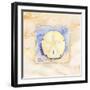 Sand dollar-Paul Brent-Framed Art Print