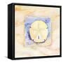 Sand dollar-Paul Brent-Framed Stretched Canvas