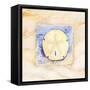 Sand dollar-Paul Brent-Framed Stretched Canvas