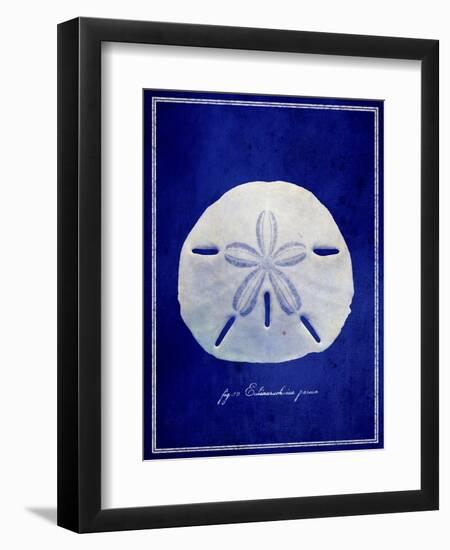 Sand Dollar-GI ArtLab-Framed Giclee Print