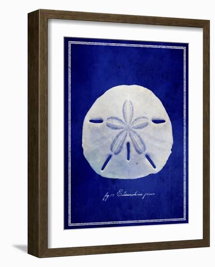 Sand Dollar-GI ArtLab-Framed Giclee Print