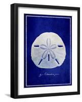 Sand Dollar-GI ArtLab-Framed Giclee Print