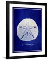 Sand Dollar-GI ArtLab-Framed Giclee Print