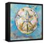 Sand Dollar-Jeanette Vertentes-Framed Stretched Canvas