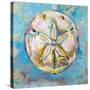 Sand Dollar-Jeanette Vertentes-Stretched Canvas