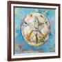 Sand Dollar-Jeanette Vertentes-Framed Art Print