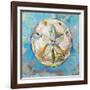 Sand Dollar-Jeanette Vertentes-Framed Art Print