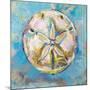 Sand Dollar-Jeanette Vertentes-Mounted Art Print