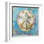 Sand Dollar-Jeanette Vertentes-Framed Art Print