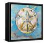 Sand Dollar-Jeanette Vertentes-Framed Stretched Canvas