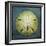 Sand Dollar-John W Golden-Framed Premium Giclee Print