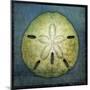 Sand Dollar-John W Golden-Mounted Premium Giclee Print