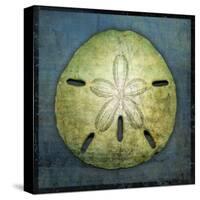 Sand Dollar-John W Golden-Stretched Canvas