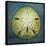 Sand Dollar-John W Golden-Stretched Canvas